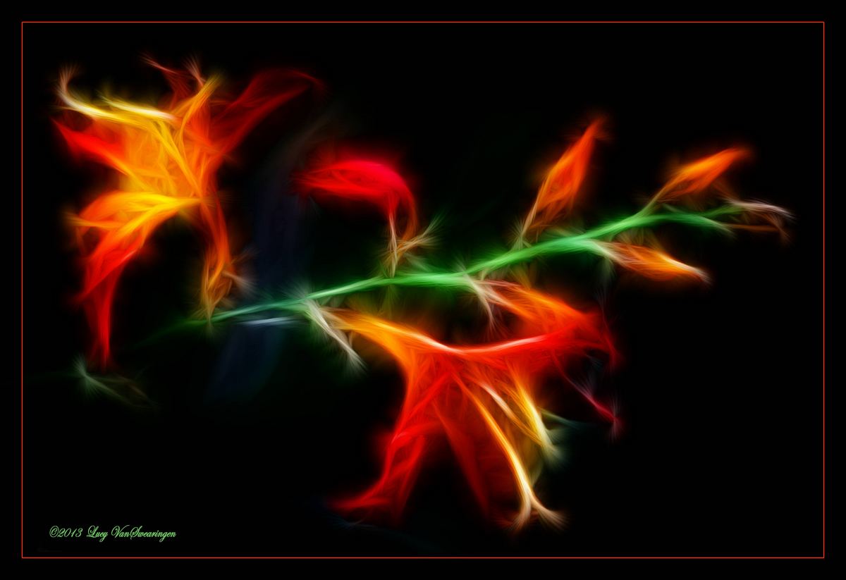 Fractalius Lily