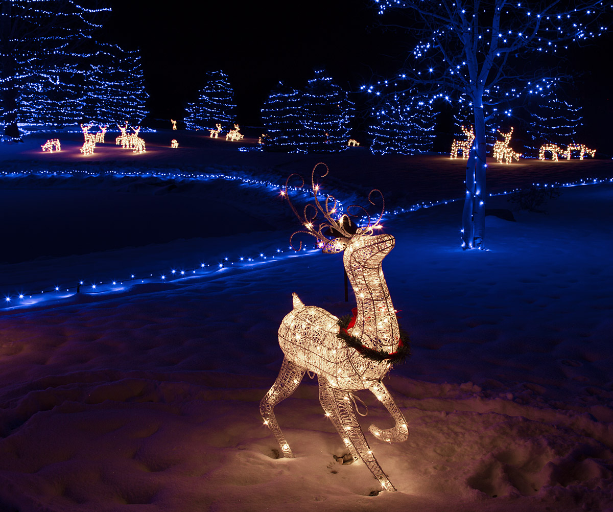 Merry Christmas!