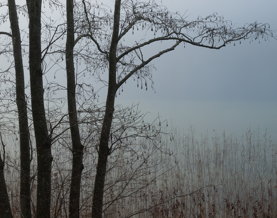 Late Autumn
