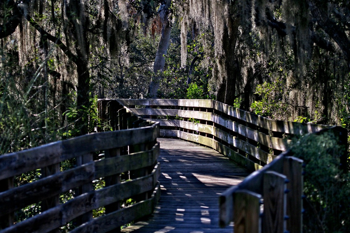 Beckoning path