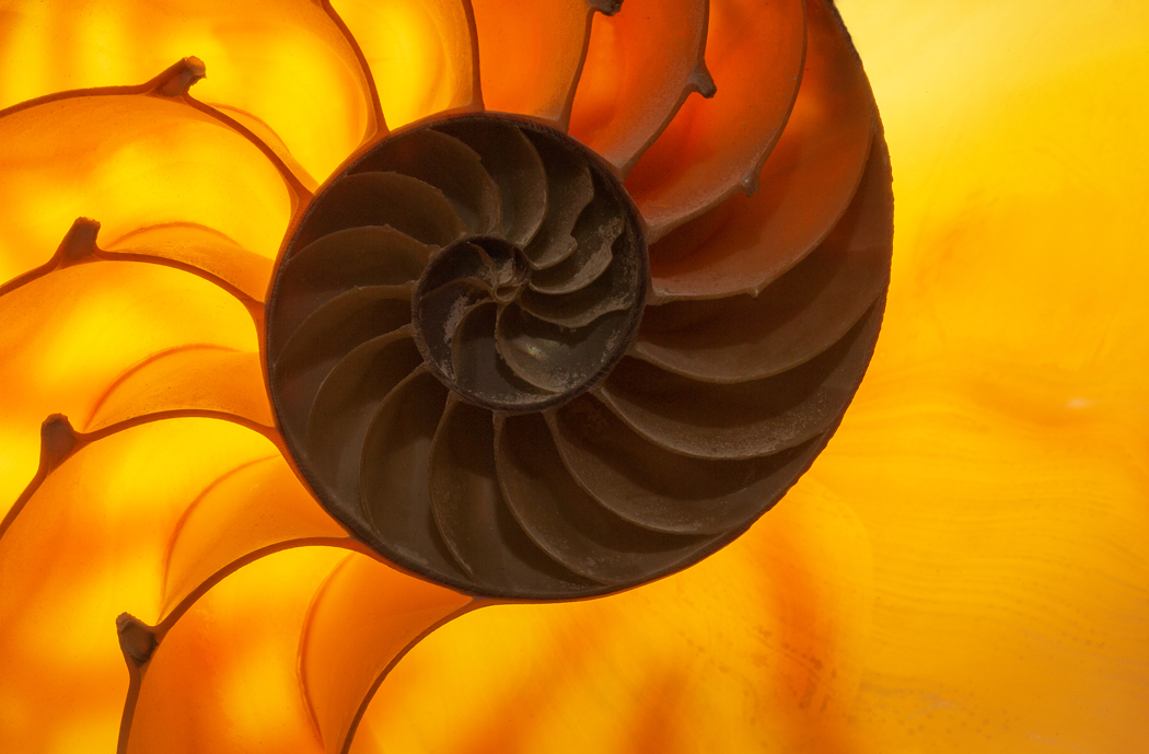 Golden Mean