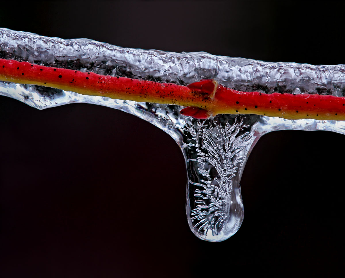 Frozen crystal 