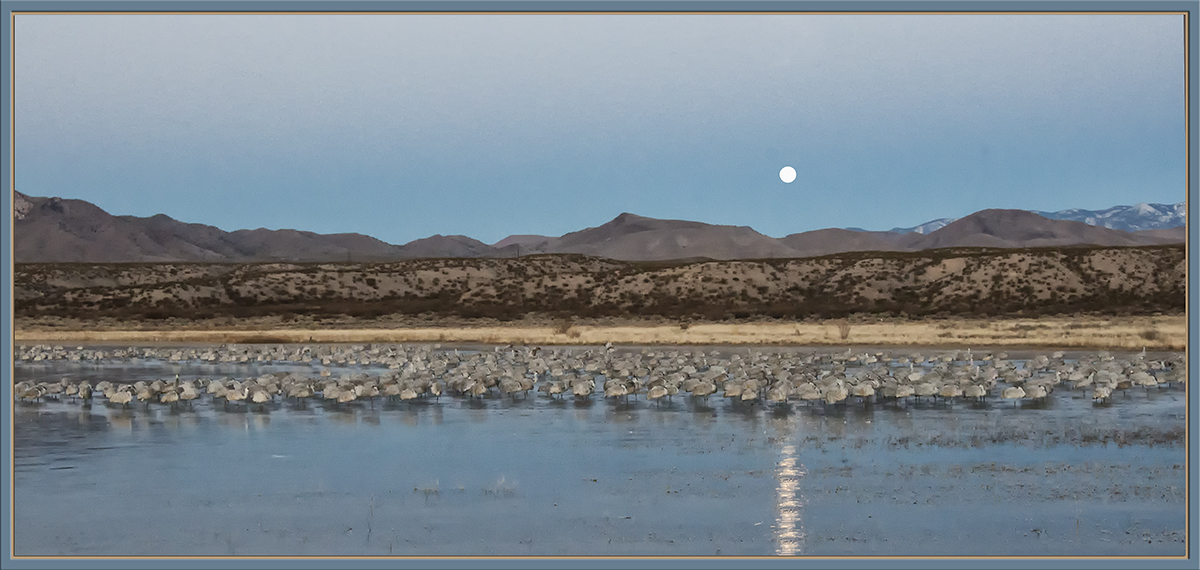 Moon Over Bosque