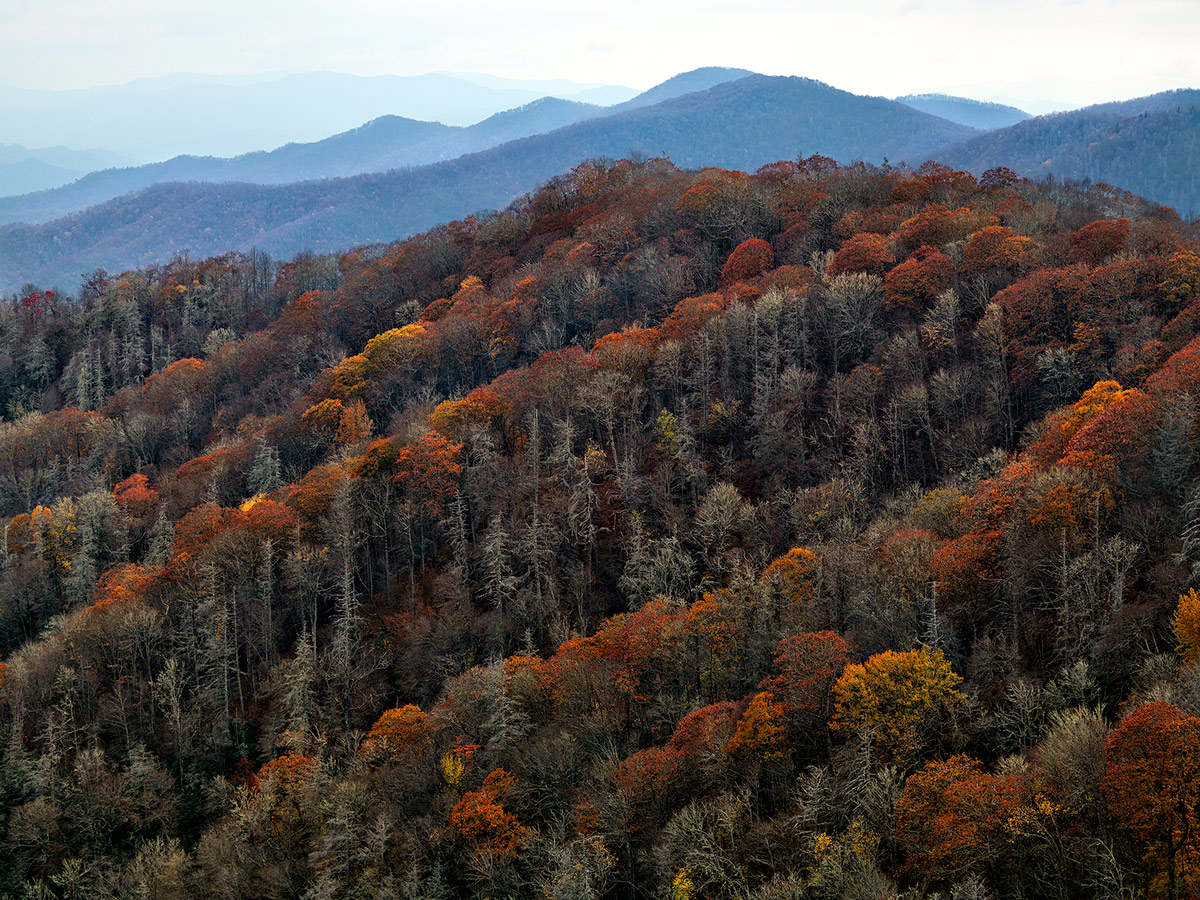 Late Autumn