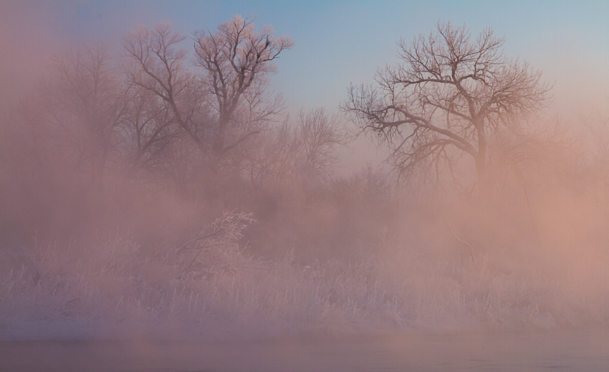Fog and Frost