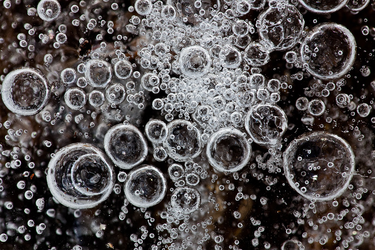 Bubbly