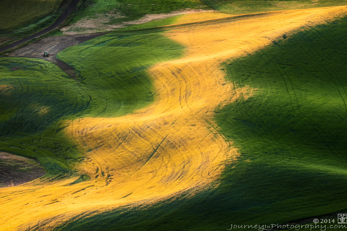 Palouse - Sun Brushstroke