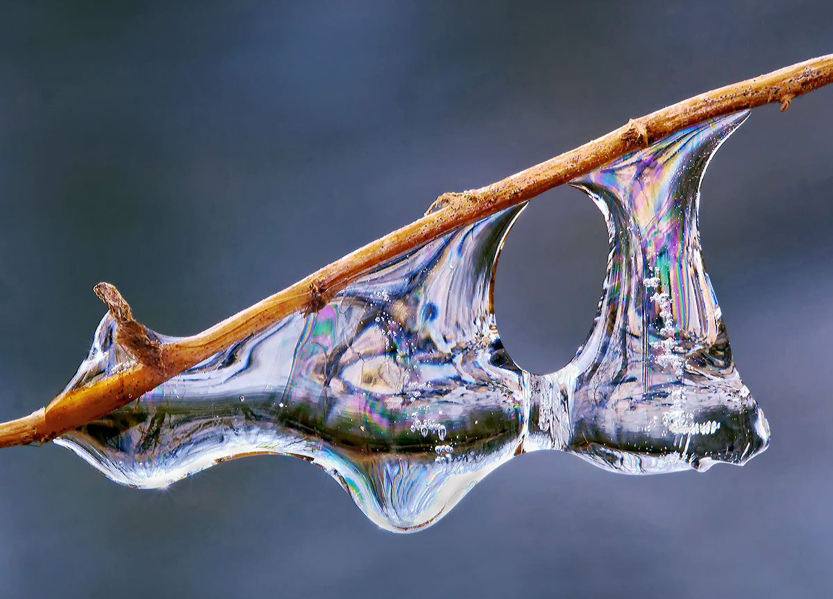 The art in ice
