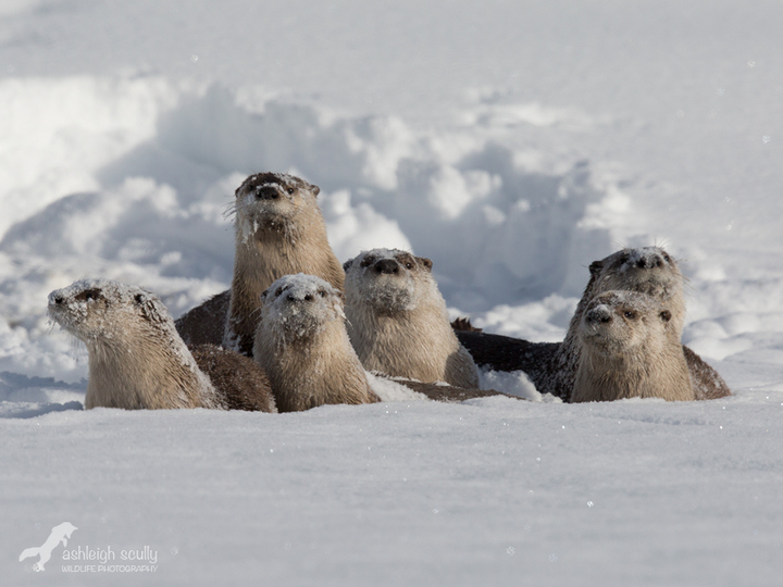 Snow Day!