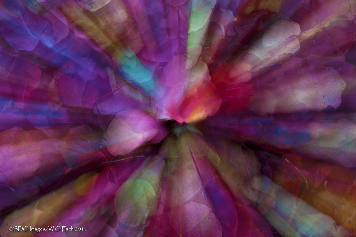 Stained Glass Explosion