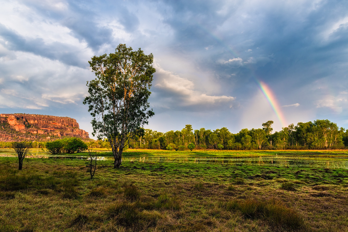 Rainbow Dream