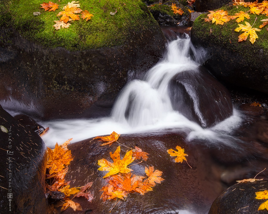 Simple Fall