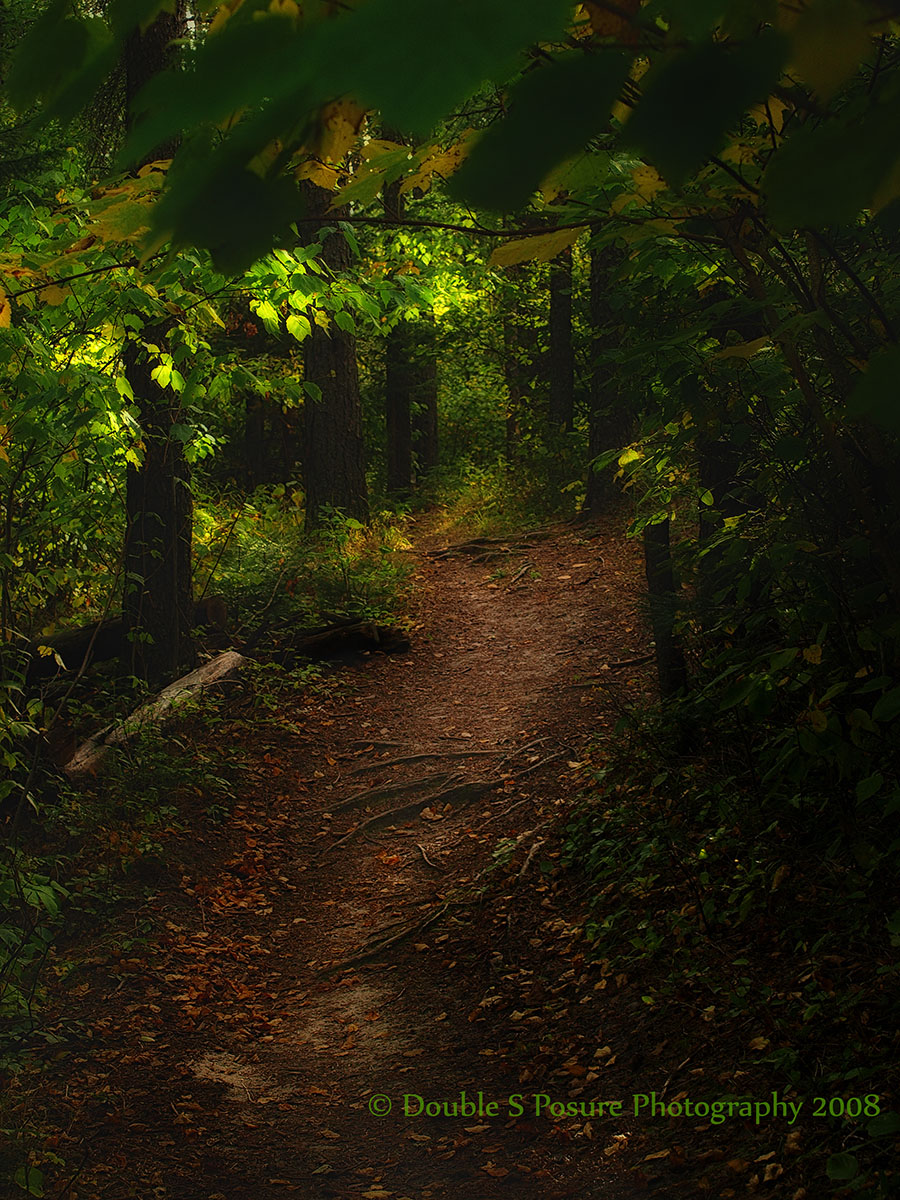 Autumn Path