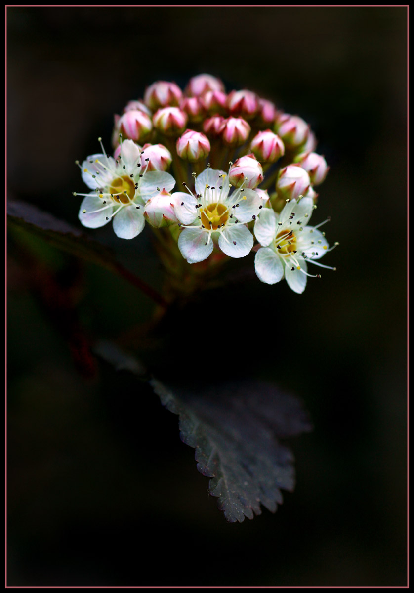 Light in the dark