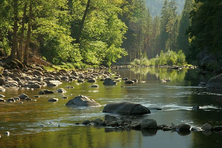 Merced River Reflections