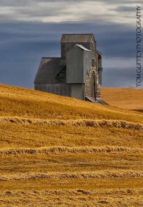 Palouse backroad