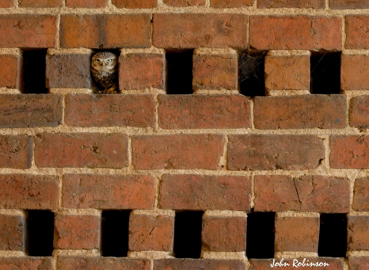 Just another brick ?
