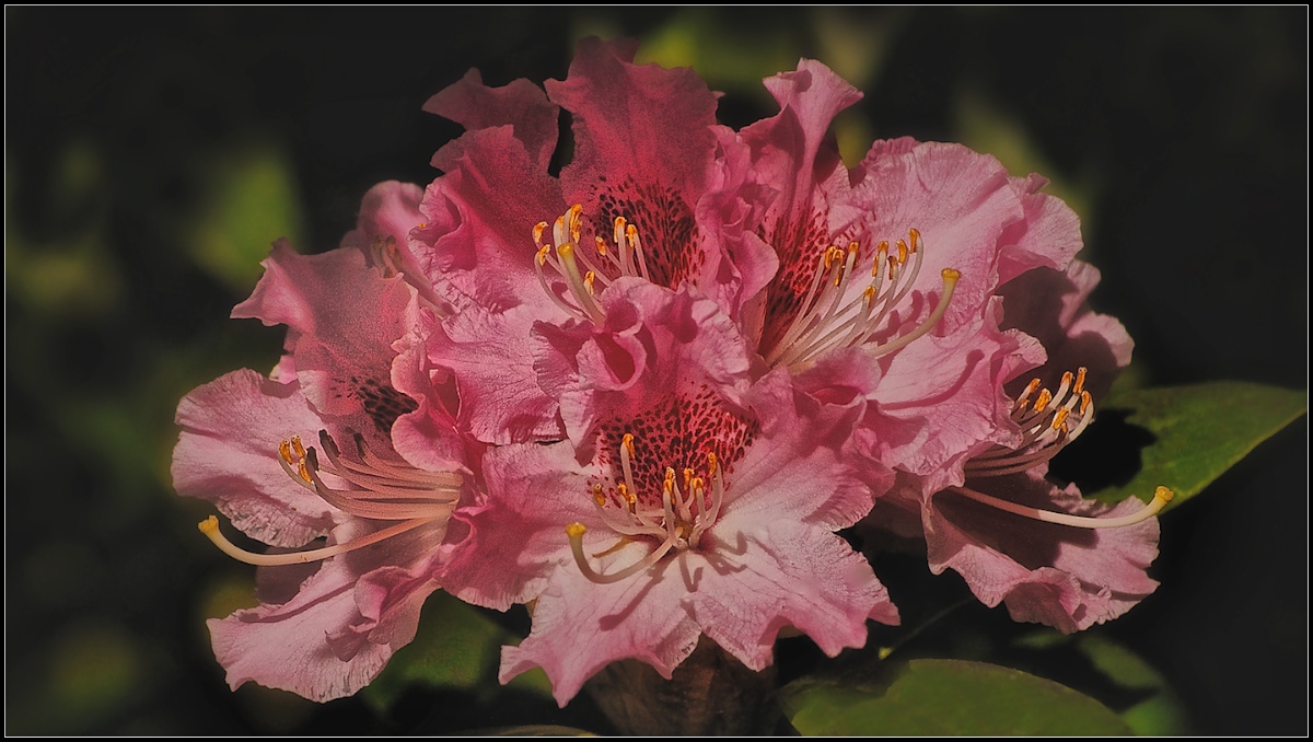 Baroque