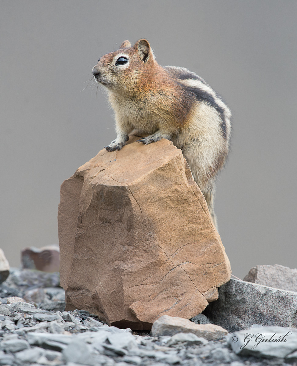 Rocky Throne