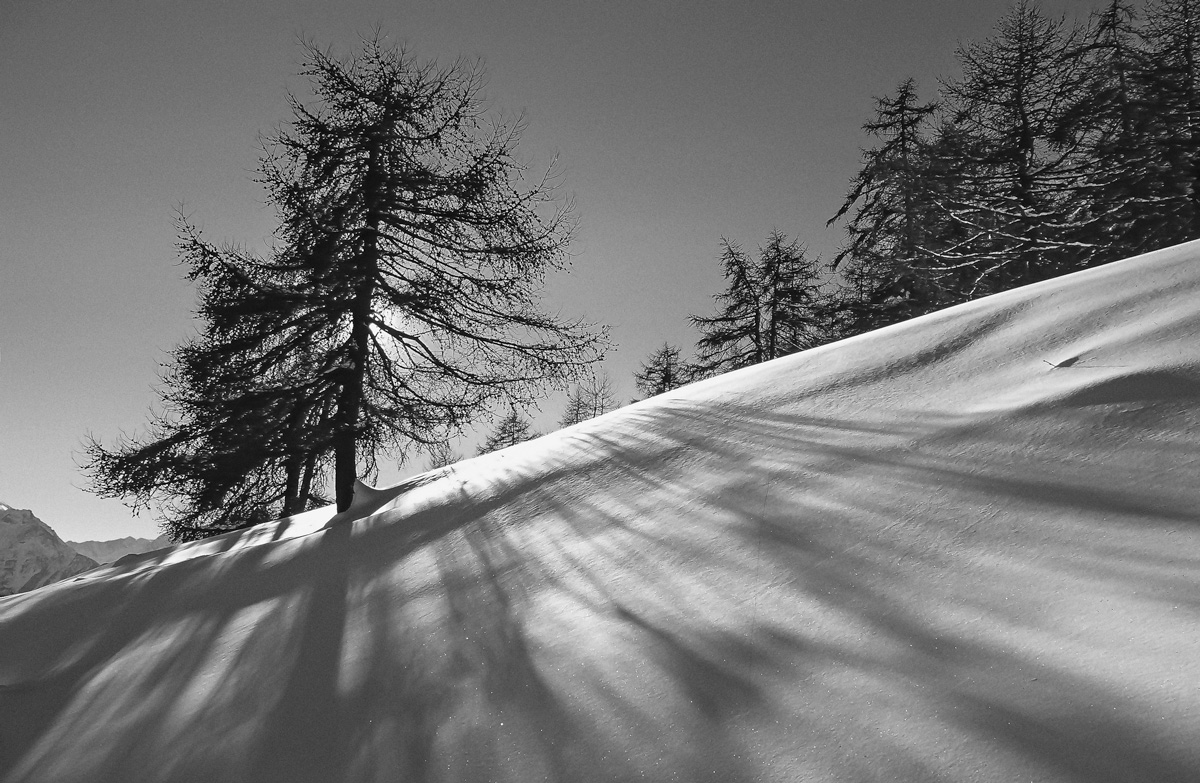 Lines and shadows