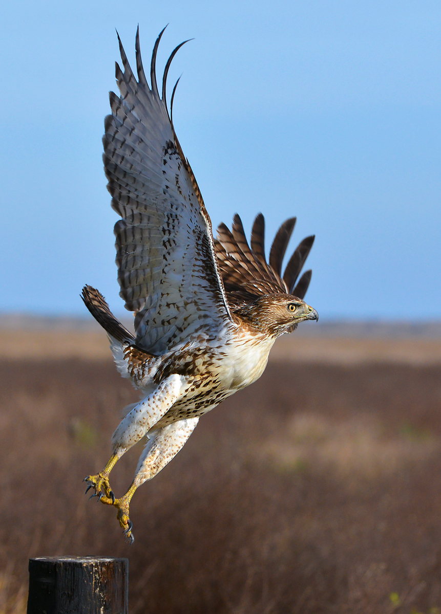 Lift Off