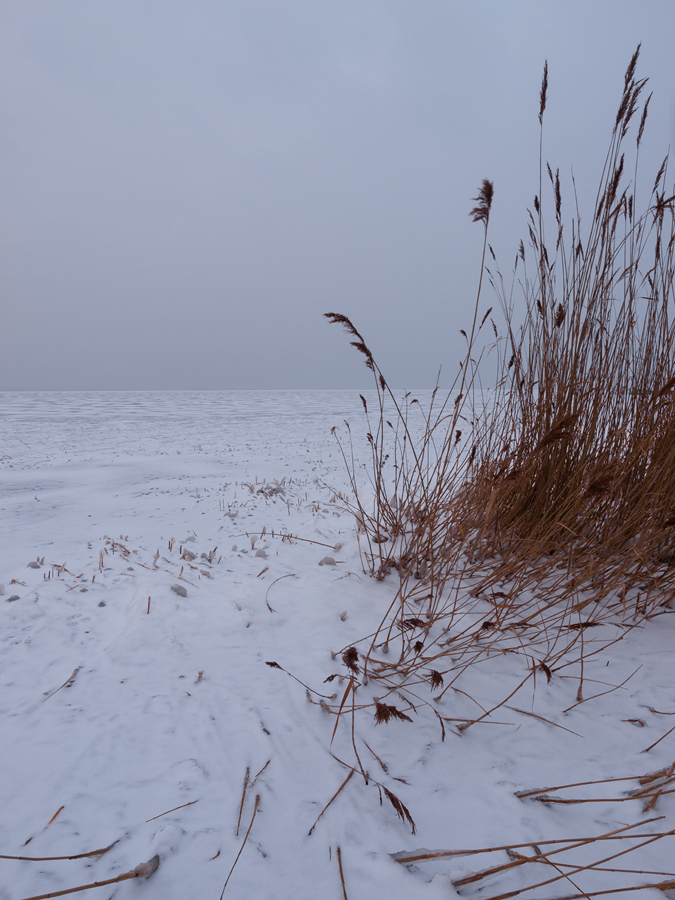 Icy Evening