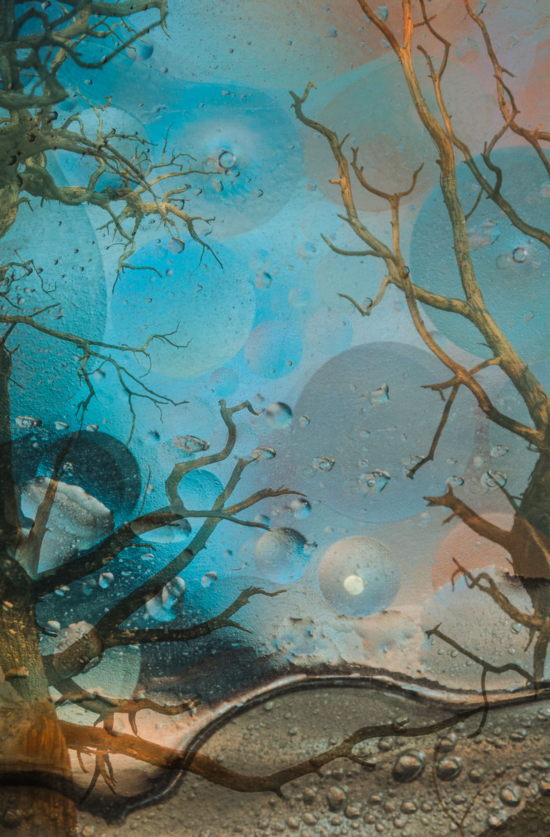 Underwater Branches