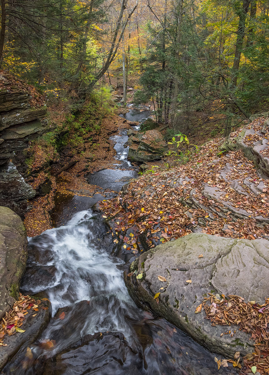 Last fall
