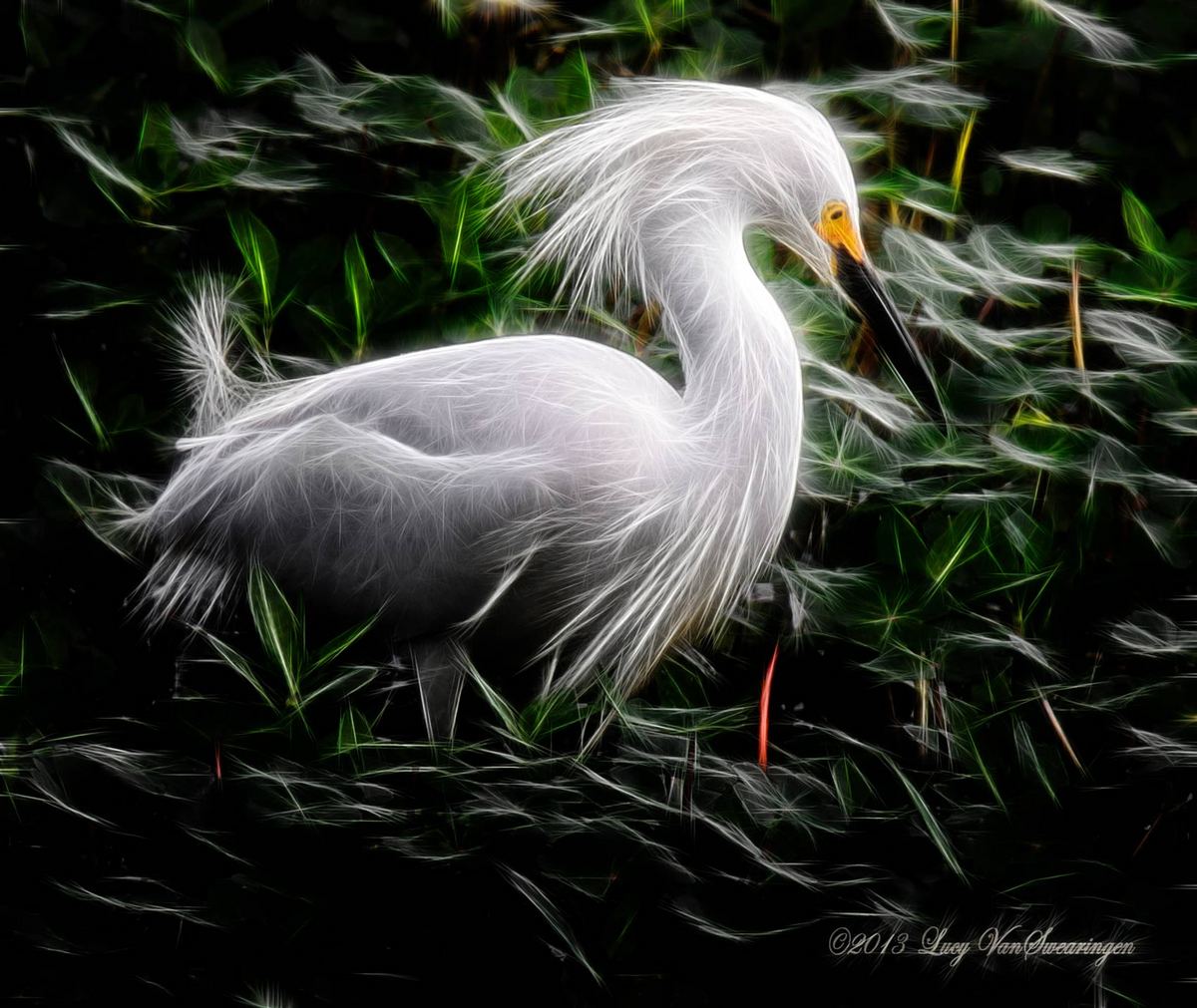 Fractalius Fun