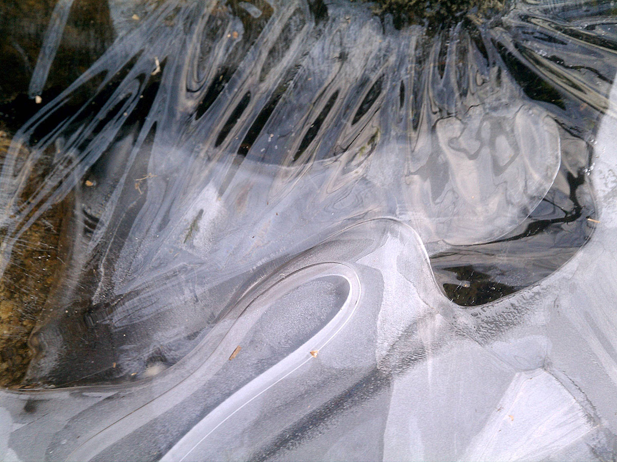 Frozen Flow & Repost WC 620