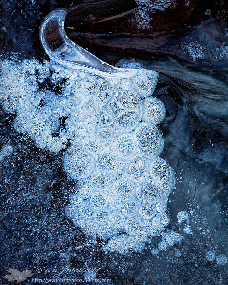 Grapes of Ice