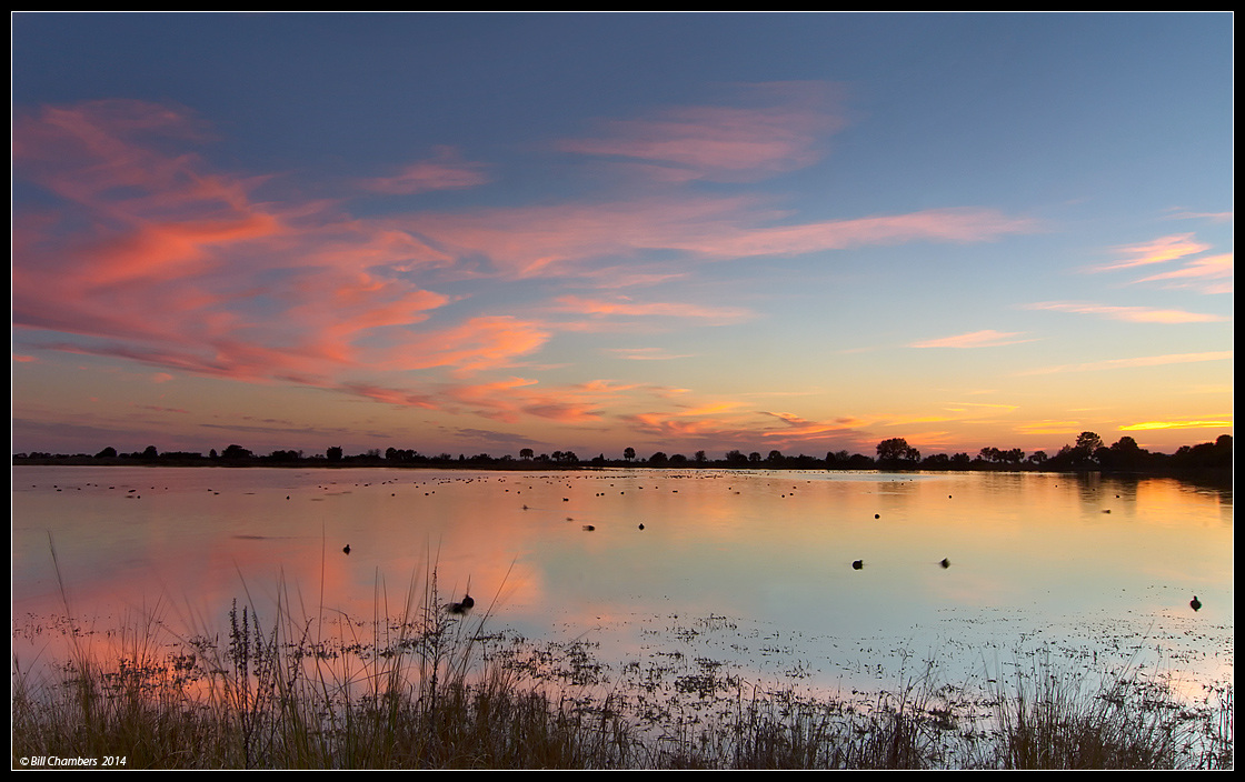 Duck Pond Sunset