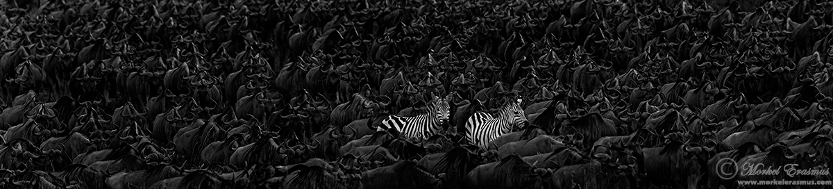 Standing Out