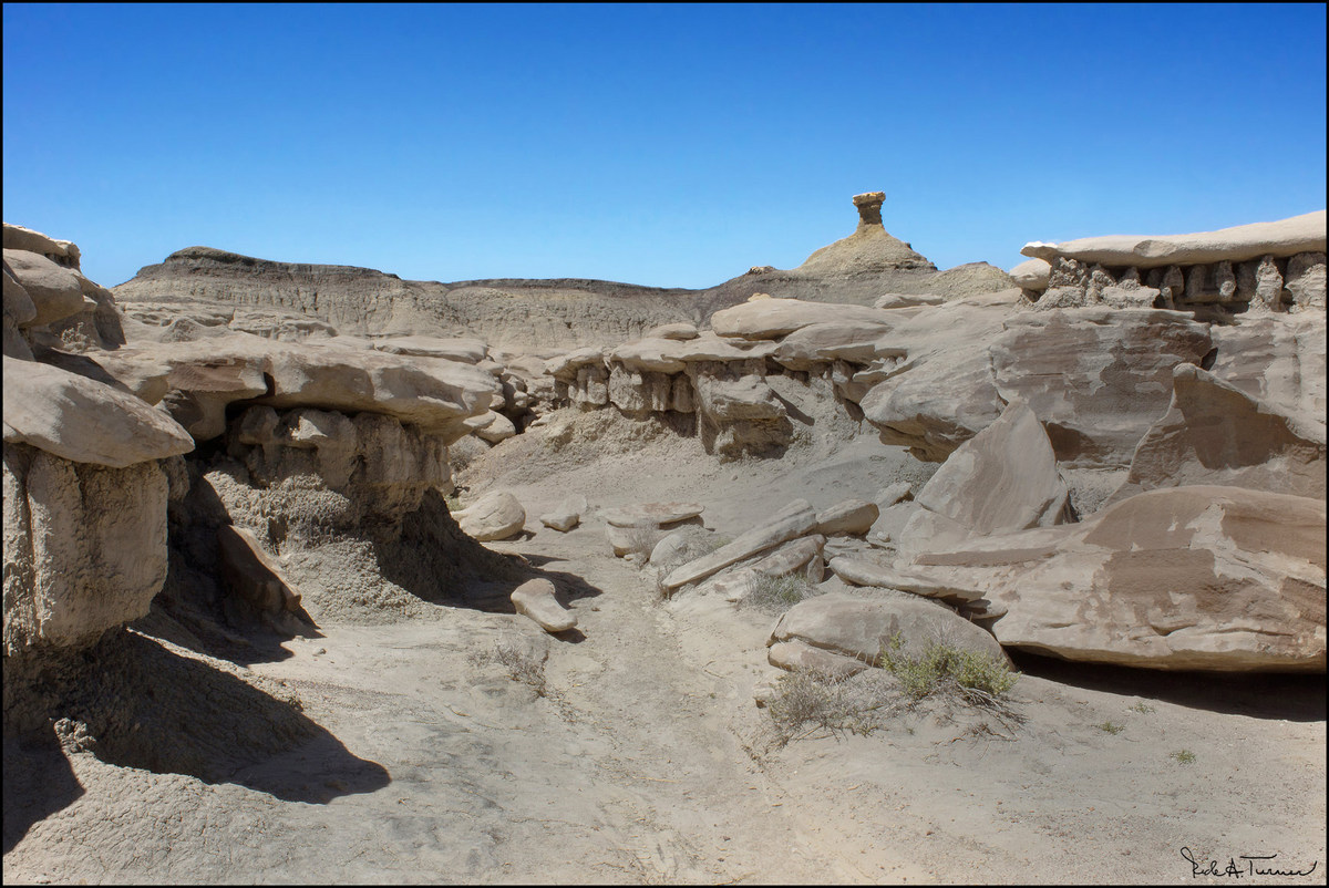Bisti Badlands 