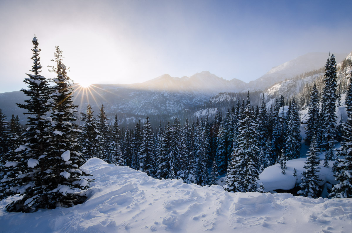 Winter Awakening