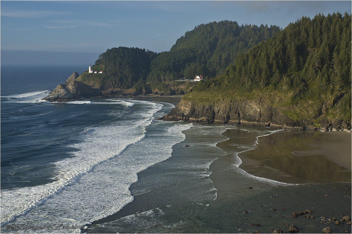 Placid Pacific