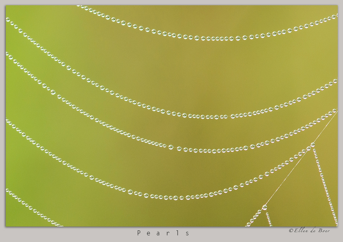 Pearls