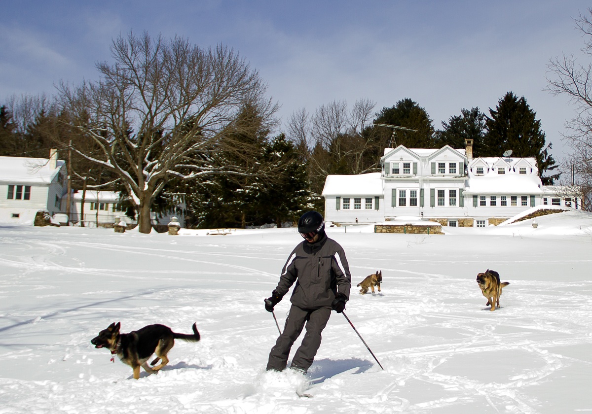 WC622: Skiing with Dogs!
