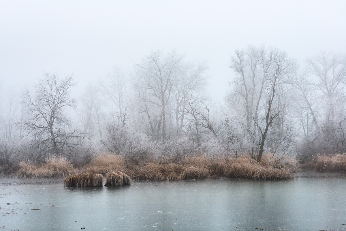Frosty Rime