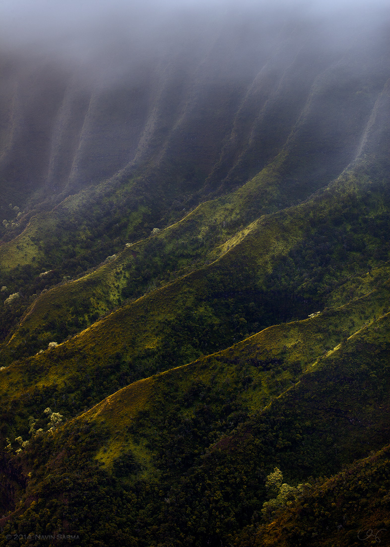 Mist in the Valley