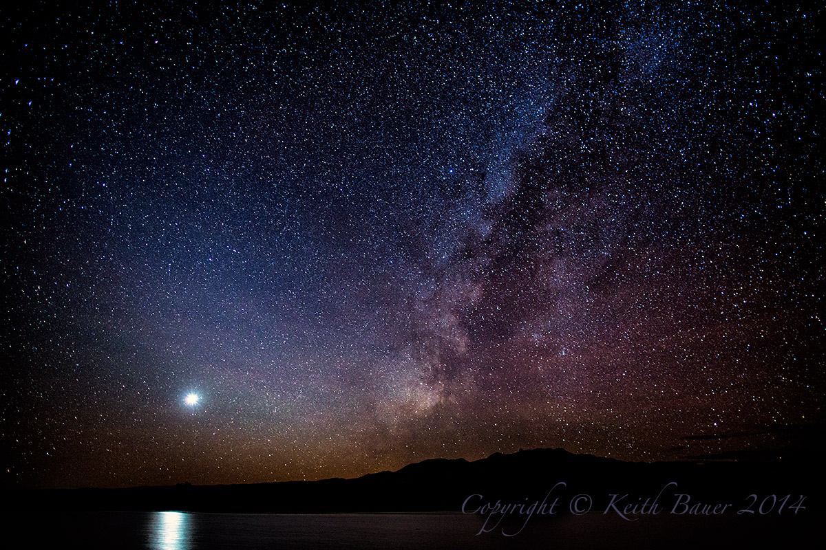 Bosque Stars