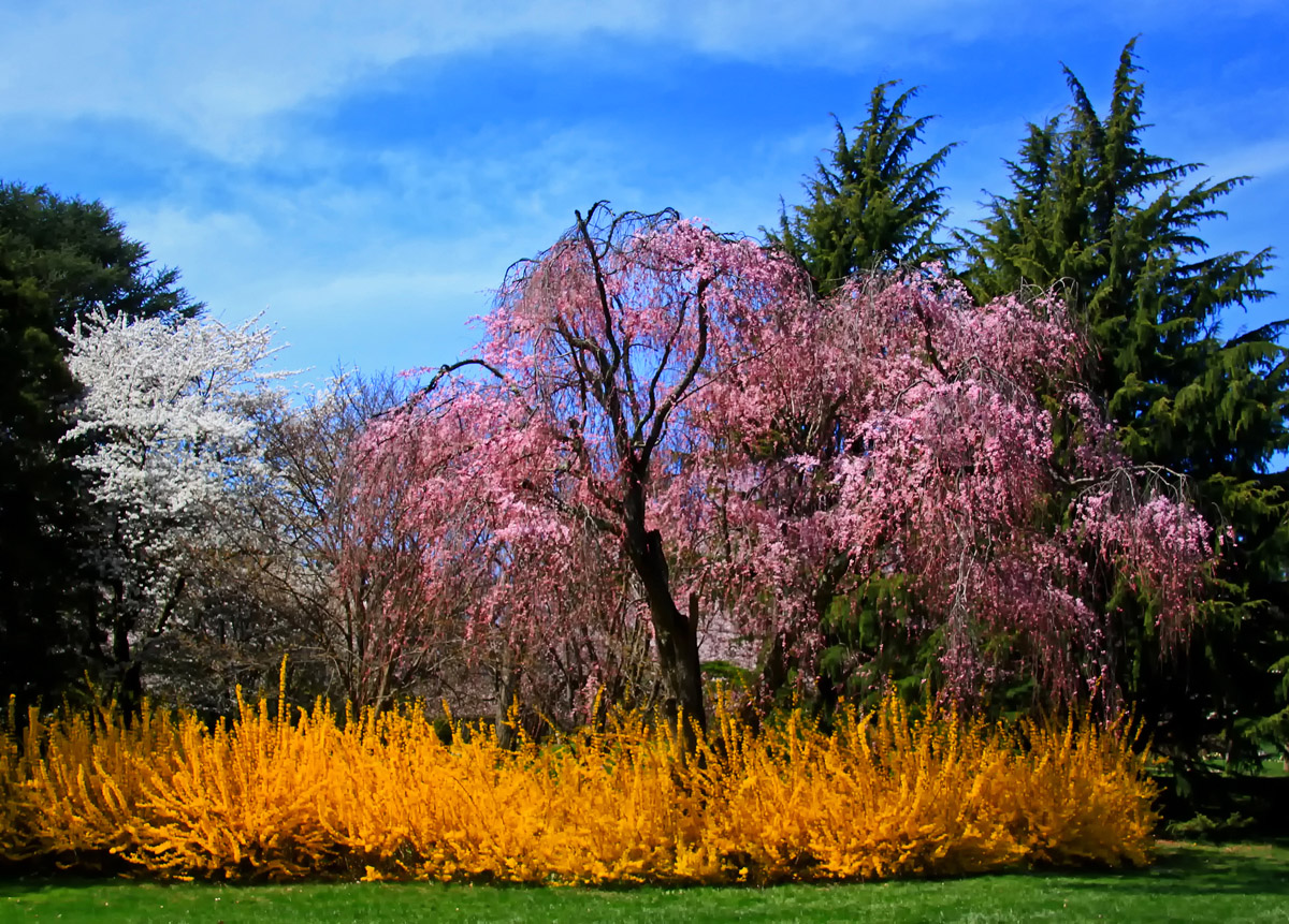 Spring will come!