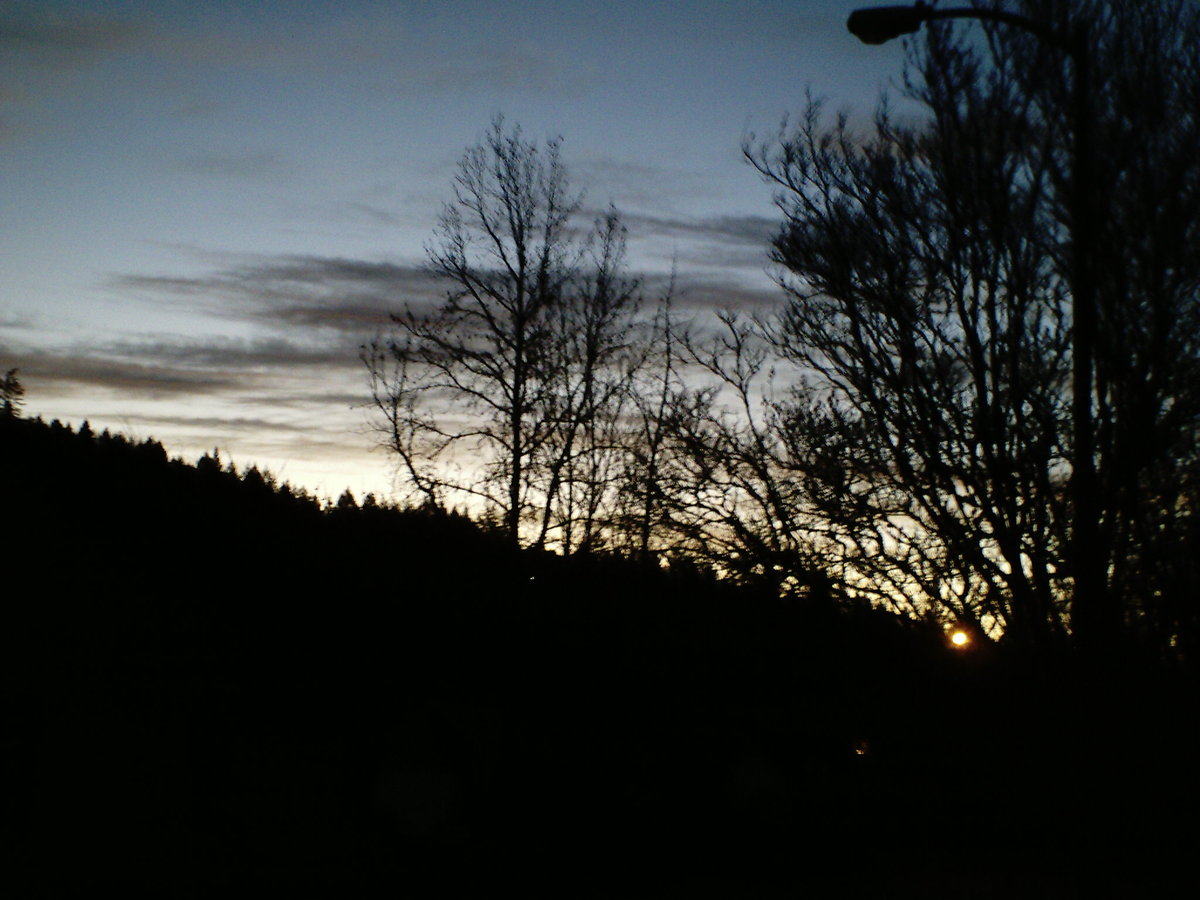 Dawn