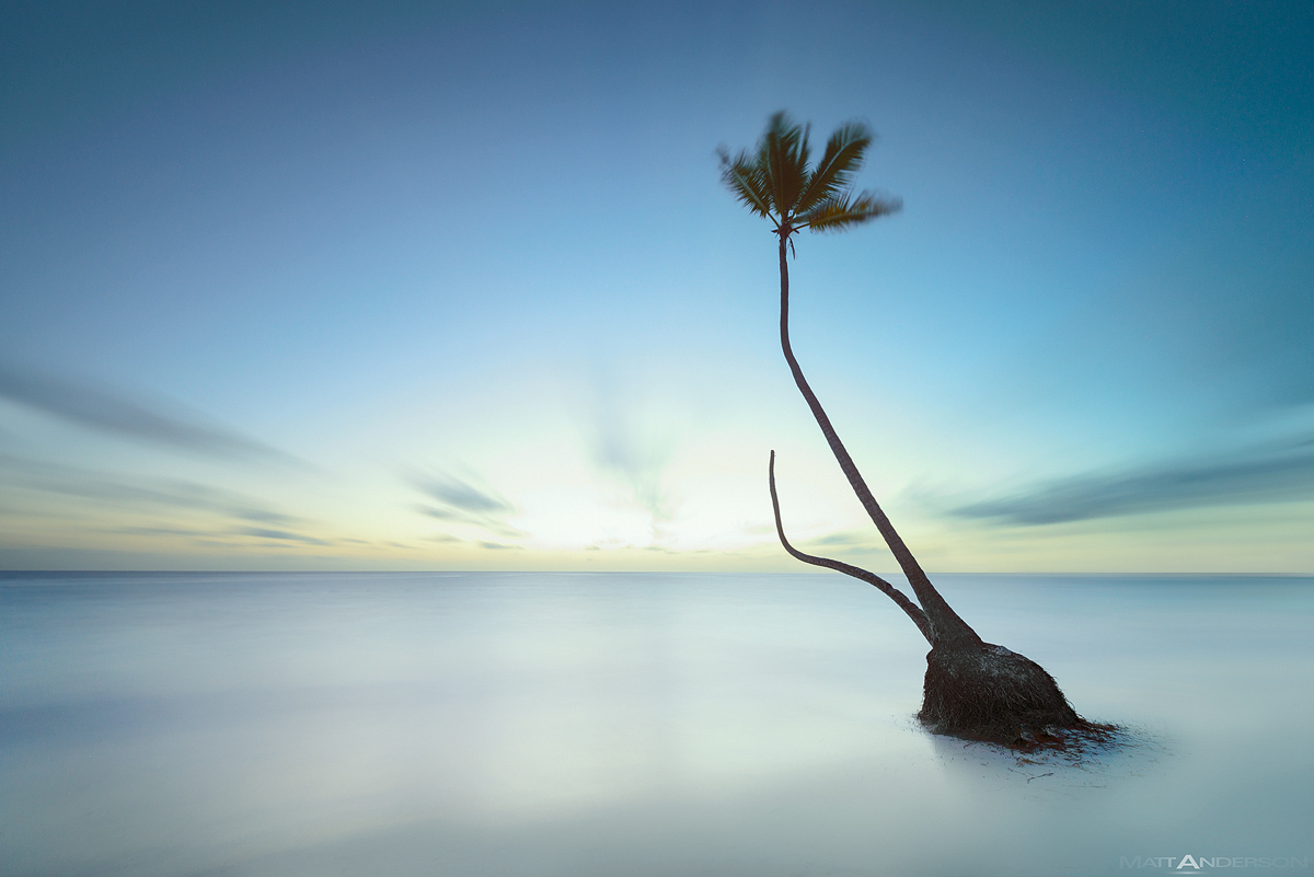 Bavaro Dreams