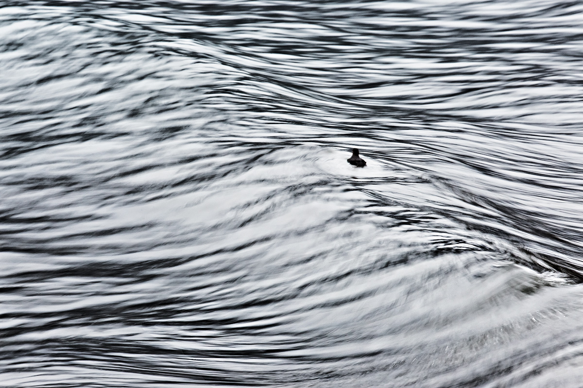 Floating