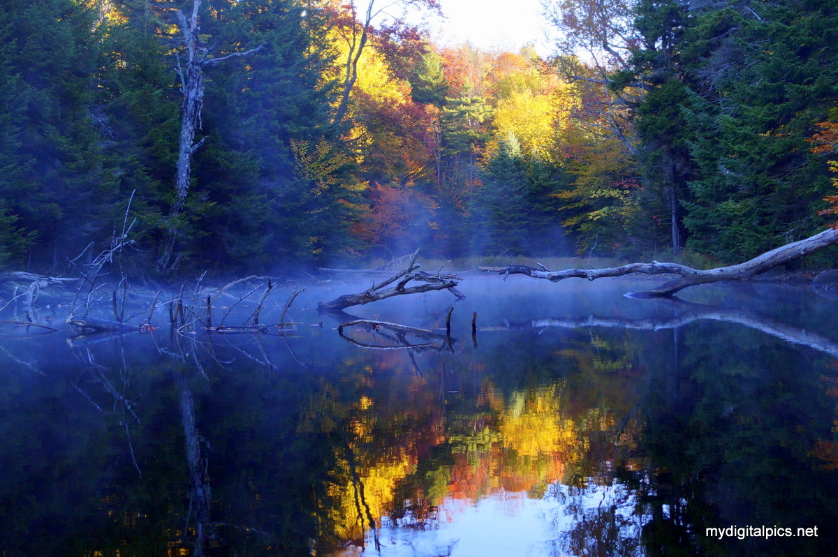 Misty Cove