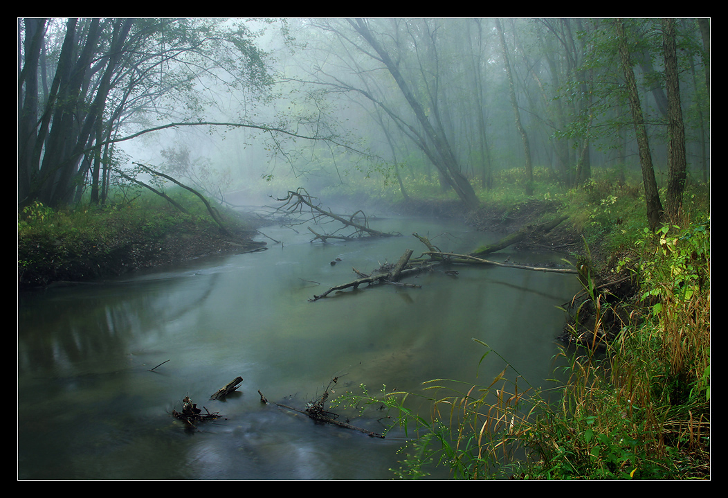  Bear Creek