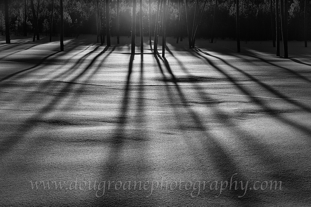Light and Shadow
