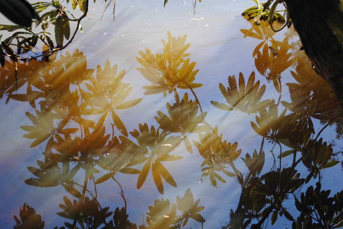 Reflections on the water