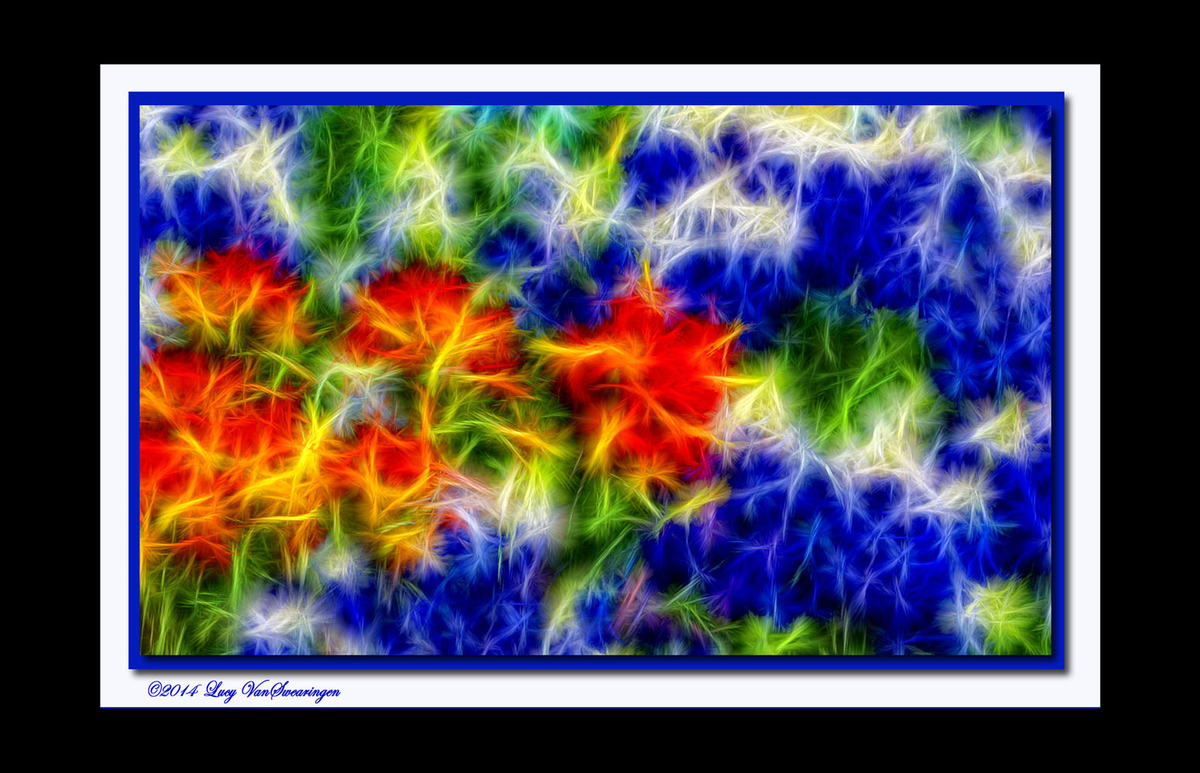 Cacophony of Color